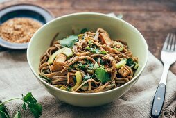 Otsu-Salat (Nudelsalat mit Soba-Nudeln, Tofu und Koriander, Japan)