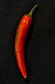 A Filomena chilli pepper