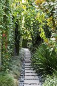 Gartenweg mit Steinplatten zwischen begrünter Gartenmauer und Grünpflanzen