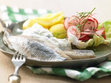 Soused herring with horseradish quark and radishes