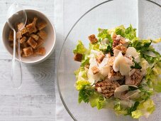 Römersalat mit Zitronenschnitzel, Croûtons & Parmesan