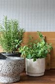 Herbs in stone pots and pestle and mortar in front of wooden chopping boards