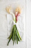 Three spring onions, tied in a bunch