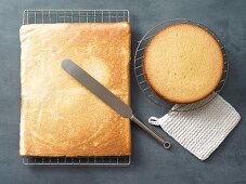 Sponge cake bases made with spelt flour