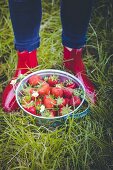 A person wearing rubber boots standing behind a bucket of strawberries in the grass