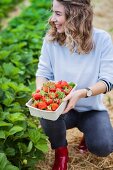 A young woman holding a cardboard box of freshly picked strawberries