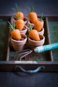 Marzipan carrots with rosemary leaves
