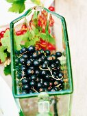 Fresh blackcurrants on a glass scoop