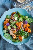 A sweet potato salad with spinach, red-veined dock, apple and quinoa (Superfood)