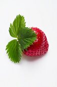 Eine Erdbeere mit Blatt vor weißem Hintergrund
