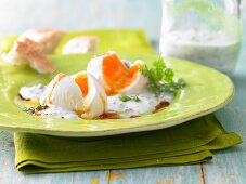 Poached eggs with herb and yoghurt sauce