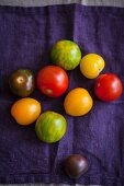 Verschiedenfarbige Tomaten (Aufsicht)