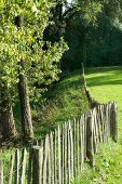 Lattenzaun neben Wiese und Bäumen