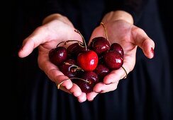 Cherries in a woman's hand against a black background