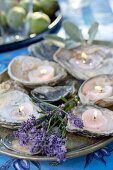 Teelichtern in Austernschalen zwischen Lavendelzweigen als Tischdeko
