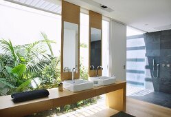 Modern bathroom with glass wall and view into exotic bathroom