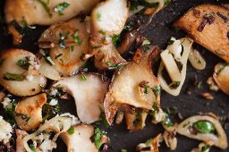 Pan-fried mushrooms (close-up)
