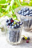 Blueberries in glass jars