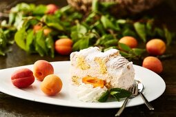 Kardinalschnitte (Austrian sponge cake, meringue and mousse slice) with apricots