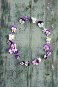 Oval of violas on wooden surface