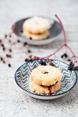 Biscuits filled with elderberry jelly