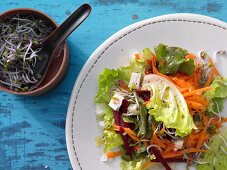 A salad with beetroot, carrot, sheep's cheese and beansprouts