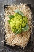 A green cauliflower on straw (seen from above)