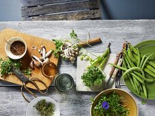 Ingredients for summer cuisine: fresh mushrooms, beans and herbs