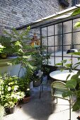 Foliage plants on terrace with vintage garden furniture