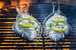 Fresh fish with herbs and lemon on a grill rack