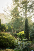 Naturnaher Garten mit Bäumen, Büschen und Sträuchern