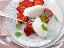 Lemon balm sorbet with marinated strawberries