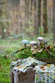 Wooden toadstools and moss on tray on old wooden crate in woods