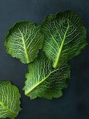 Fresh savoy cabbage leaves on a dark background