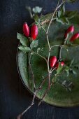 Rose hips on green stoneware plate on black surface