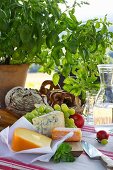 Carafe of water, bread basket, cheese and grapes on set table outdoors