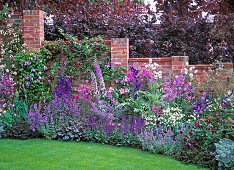 Blue garden, larkspur, ornamental onion, digitalis, ornamental sage