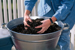 Step 1: Prepare soil mixture