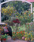 Yellow-orange: Lantana, Bidens, Asclepias, Tropaeolum