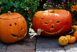 Hollowed out pumpkins