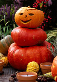 Halloween, little Pumpkin man on the terrace