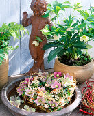 Heart-shaped wreath with Helleborus orientalis (spring roses)