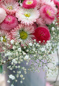 Strauß mit Bellis (Gänseblümchen), Gypsophila (Schleier-)