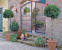 Courtyard entrance with brick wall and with Laurus nobilis