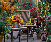 Terrace with Chaenomeles (ornamental quince), Pyracantha (firethorn), Pernettya (sphagnum myrtle)