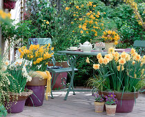 Yellow spring terrace with daffodils