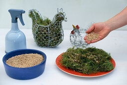 Wire hens with wheatgrass 1.Step