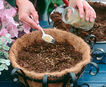 Hanging basket