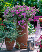 Hanging basket