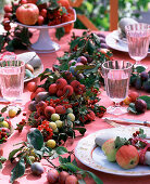 Obstgirlande aus Prunus (Pflaumen und Mirabellen), Malus (Äpfel und Zieräpfel)